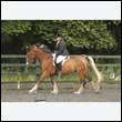 durdress26_0482