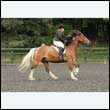 durdress26_0483