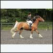 durdress26_0484