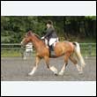 durdress26_0486