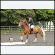 durdress26_0487