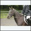durdress26_0490