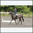durdress26_0491