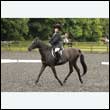 durdress26_0493