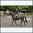 durdress26_0494