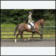 durdress26_0499