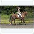 durdress26_0500