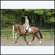 durdress26_0501