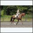durdress26_0502