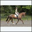 durdress26_0503