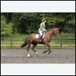 durdress26_0504