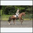 durdress26_0505