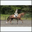 durdress26_0506