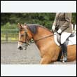 durdress26_0508