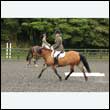 durdress26_0510