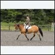 durdress26_0511