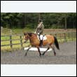 durdress26_0512