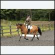 durdress26_0513