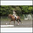 durdress26_0516