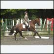durdress26_0517