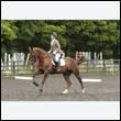 durdress26_0520