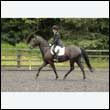 durdress26_0525