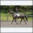 durdress26_0526