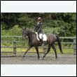 durdress26_0528