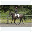 durdress26_0529