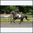 durdress26_0530