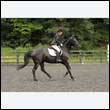 durdress26_0531