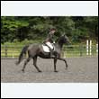 durdress26_0532