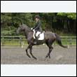 durdress26_0535