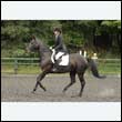 durdress26_0536