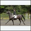 durdress26_0538