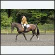 durdress26_0540
