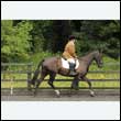 durdress26_0541