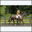 durdress26_0542