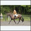 durdress26_0543