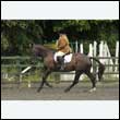 durdress26_0546