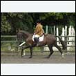 durdress26_0547