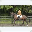 durdress26_0548