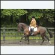 durdress26_0549