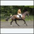 durdress26_0550