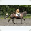 durdress26_0551