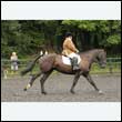 durdress26_0552