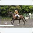 durdress26_0555