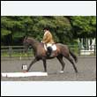 durdress26_0556