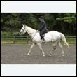 durdress26_0560