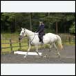 durdress26_0561